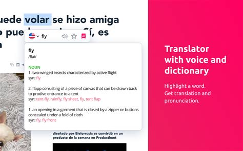 Lingvanex translator and dictionary. Voice .